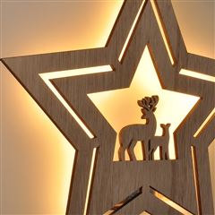 Solight LED nástenná dekorácia vianočná hviezda, 24x LED, 2x AA